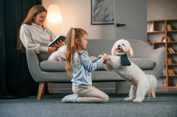 女孩抓着宠物的爪子。母亲和女儿在家里牵着一条马耳他狗图片下载