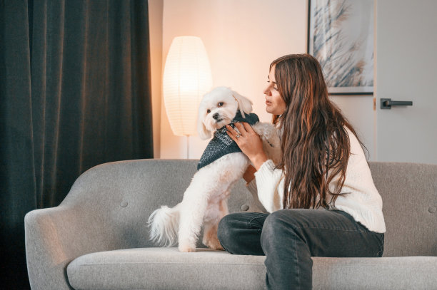 坐在沙发上。美丽的女人是与马耳他狗是在家里图片下载