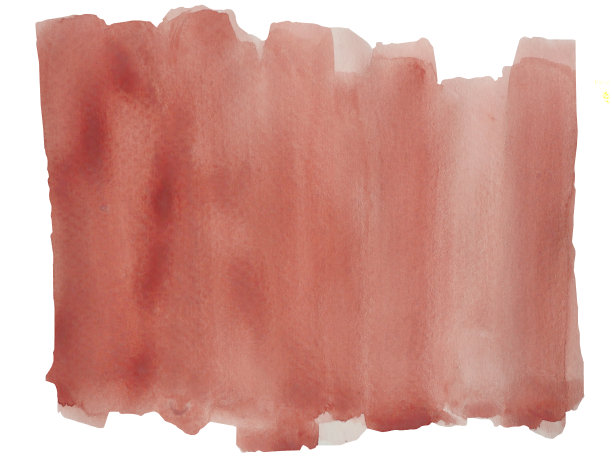 抽象图案棕色孤立在白色背景上图片下载