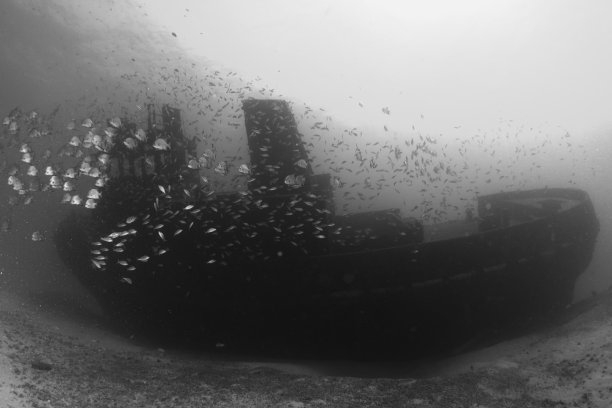 《黑白海难》图片下载