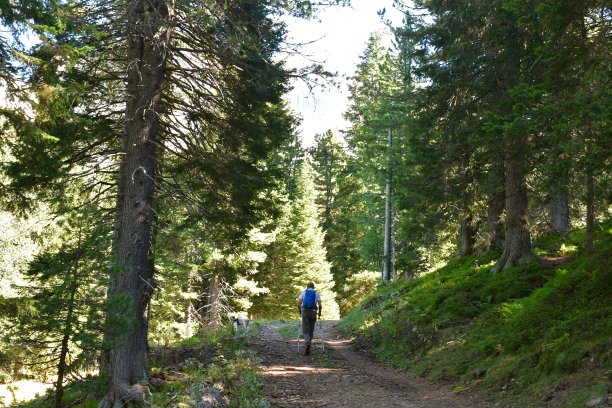 在南蒂罗尔徒步旅行的男子图片下载