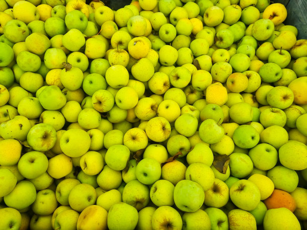 背景。很多黄色和绿色的苹果。收获水果的概念。图片下载