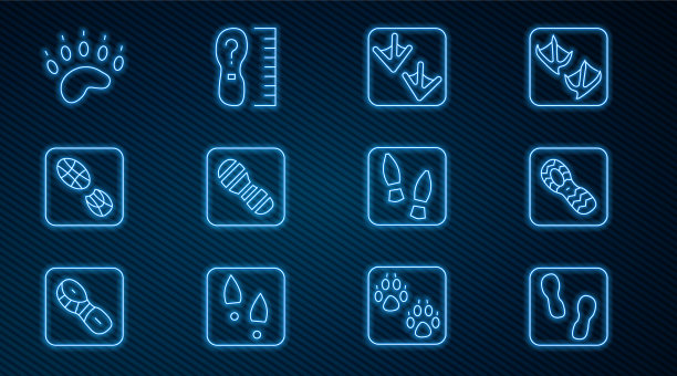 集行人脚印鞋鹅爪熊图片下载