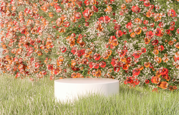 自然美丽的讲台背景与春天的花田。图片下载