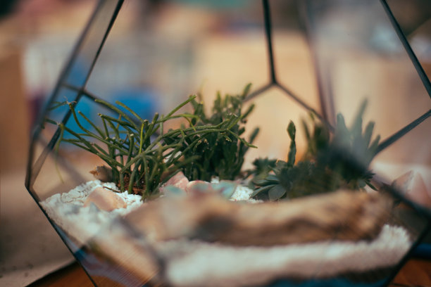 花艺学校图片下载