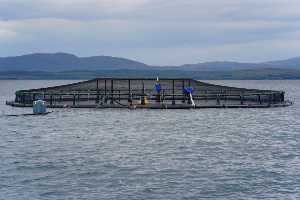 苏格兰西海岸的鲑鱼养殖场图片下载