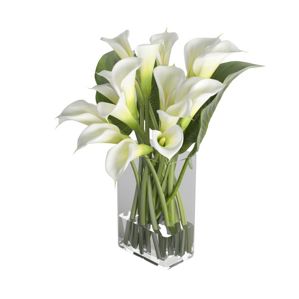 马蹄莲的三维渲染在一个花瓶孤立的白色背景。图片下载