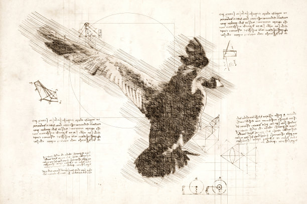 达芬奇风格的飞鹅素描。图片下载