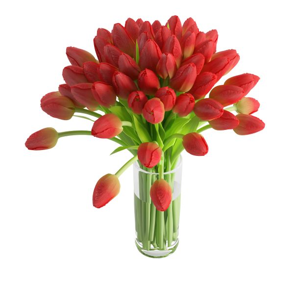 三维渲染的红色郁金香在一个玻璃花瓶孤立的白色背景图片下载