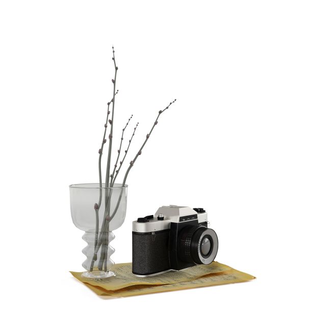 一个照片相机在纸上的3D渲染，花瓶里的树枝孤立在白色背景上。图片下载