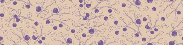 无缝模式与手绘蓝莓。森林的背景。矢量插图。图片下载