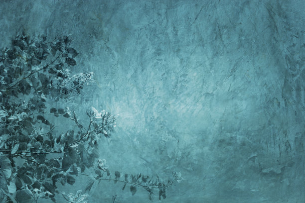 灰色水泥纹理，花影背景，抽象背景图片下载