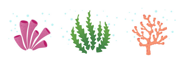 集合海藻珊瑚插图图片下载