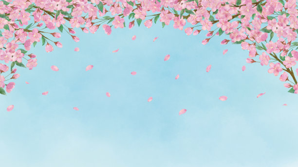 天空和樱花和樱花花瓣的水彩插图背景图片下载