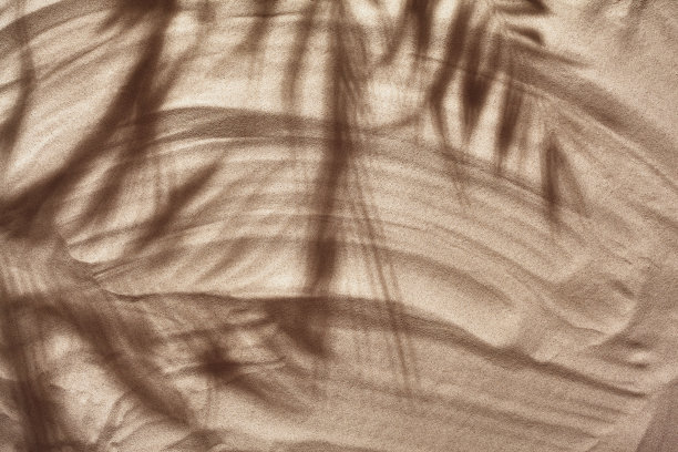 夏日概念用一棵热带棕榈树的叶子，影印空间在一片白色的沙滩上。图片下载