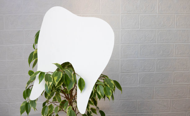 无花果树枝上的白色纸牙。牙医节的概念，牙医节图片下载