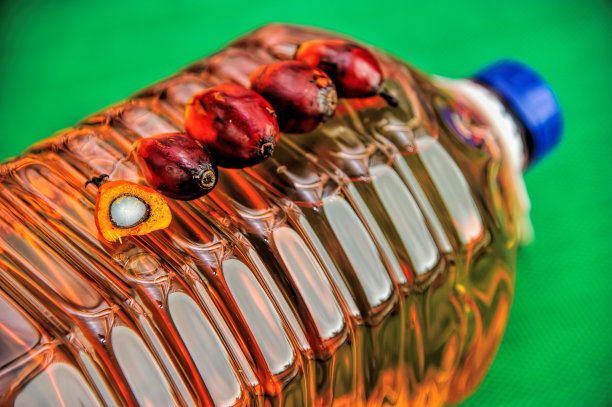 特写新鲜油棕果实，选择性聚焦。图片下载