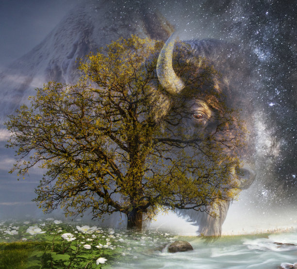 野牛复合图片下载