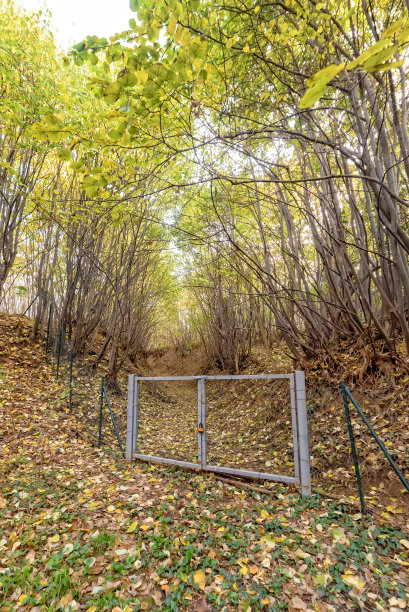 塞尔维亚弗鲁斯卡戈拉山的非法大门。非法私有化自然图片下载