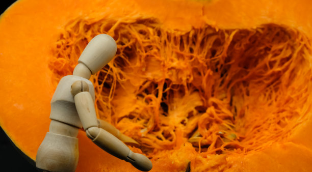 南瓜背景上的小雕像。肉和种子。图片下载