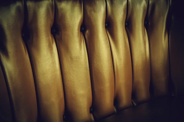 明亮的皮革细节图片下载