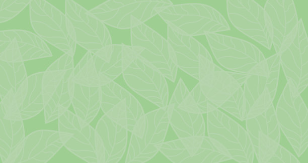 绿色背景上的树叶。图片下载