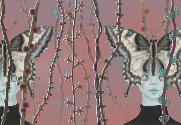 植物上蝴蝶特写镜头图片下载