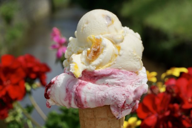 明亮的粉黄色冰淇淋和周围鲜艳的花朵。意大利冰淇淋是黄色和粉红色的。华夫饼杯里有两个圆饼的冰淇淋，围绕在花周围。图片下载