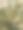 在花盆里种菠萝图片下载