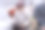 照片中，一位老妇人正与丈夫和宠物坐在客厅的沙发上使用平板电脑。概念。有选择性的重点。副本的空间。图片下载