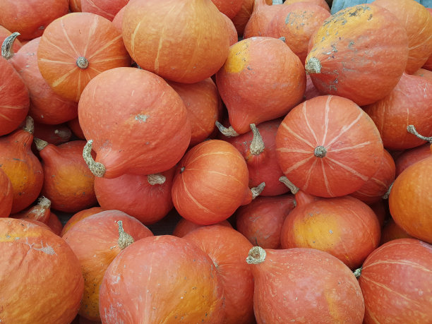 市面上出售的南瓜全画幅图片下载