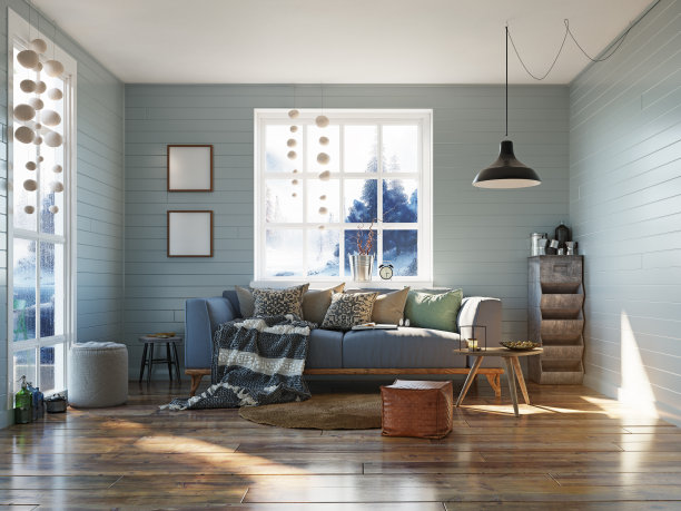 舒适的沙发在斯堪的纳维亚现代客厅图片下载