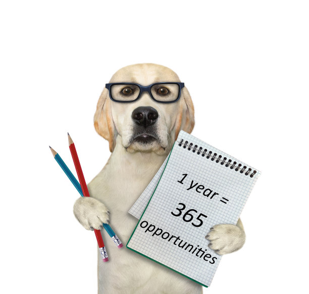 拉布拉多犬抱着写有文字的记事本图片下载