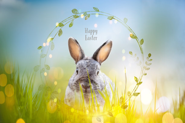 印有兔子及文字“复活节快乐”的复活节贺卡图片下载