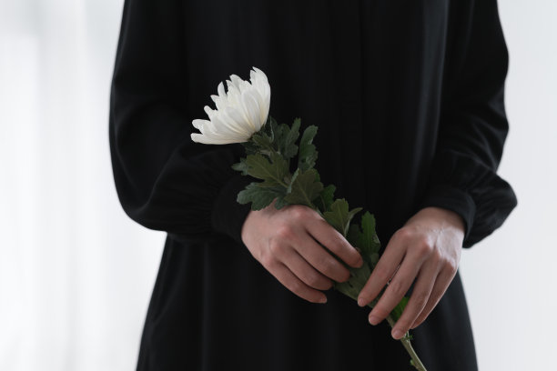 手里捧着一朵白色的菊花图片下载