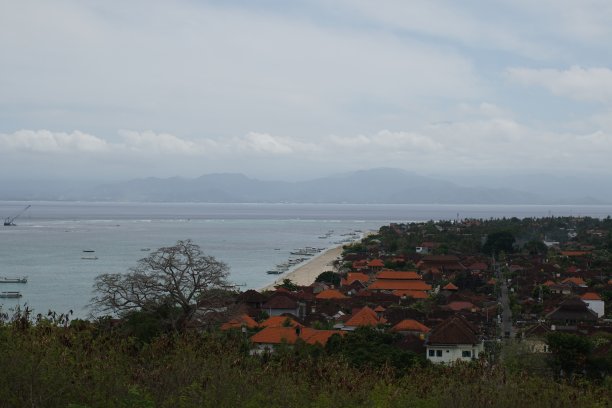 职业是海图片下载