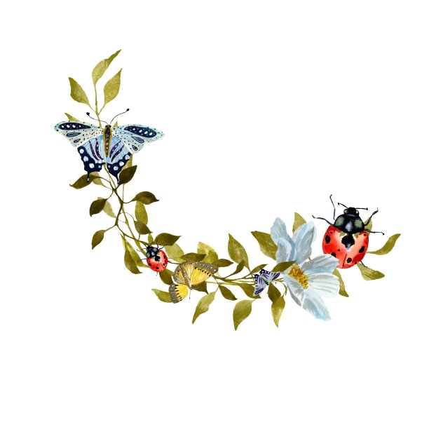 花叶蝴蝶藤蔓可爱的设计水彩图片下载