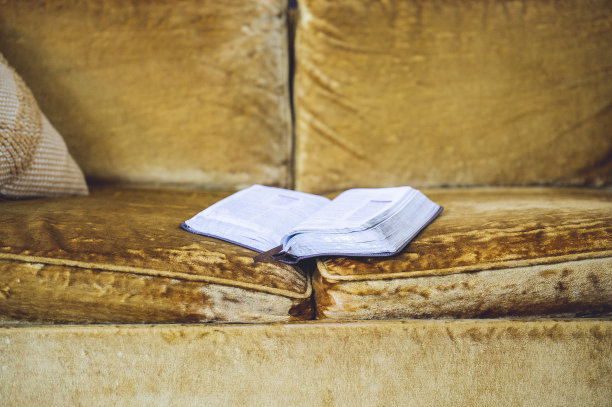 黄色天鹅绒沙发上一本打开的书的特写镜头图片下载