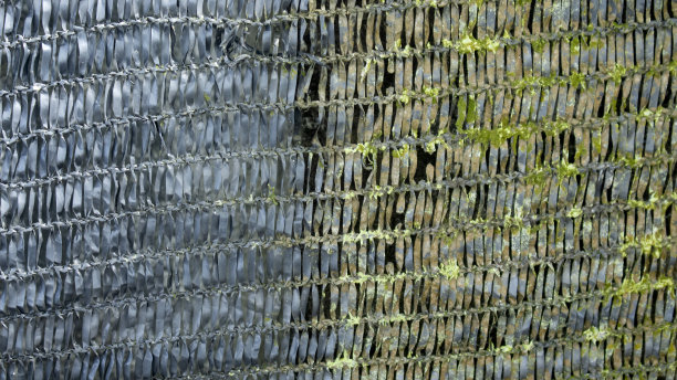 这张网一边还好好的，另一边长满了苔藓图片下载