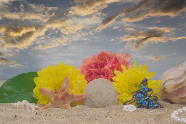 沙滩上的花朵和贝壳的特写镜头图片下载