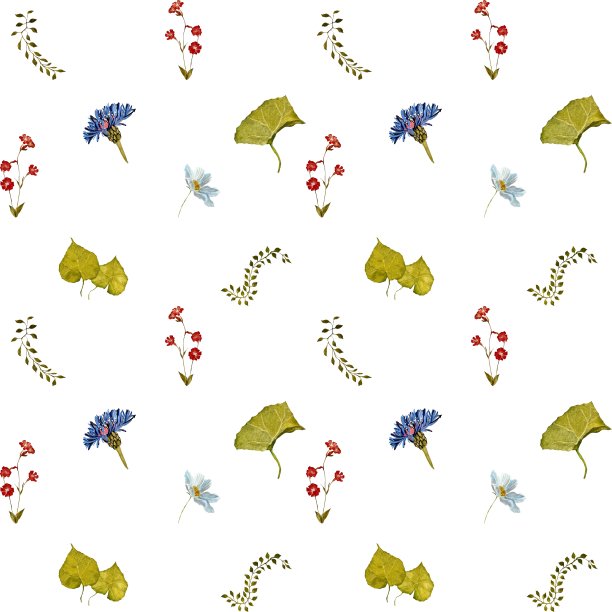 花红蓝藤本植物简单水彩图案图片下载