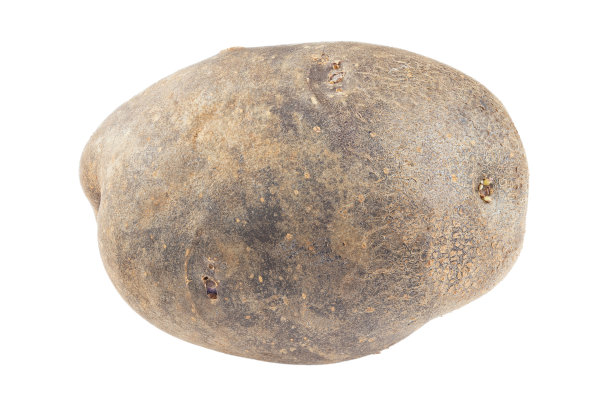 新鲜的紫色土豆孤立在白色的背景上。图片下载