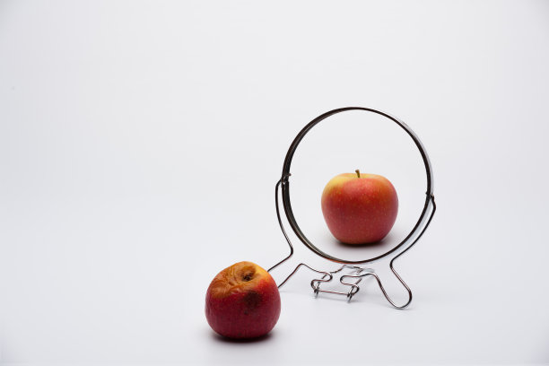 老年和年轻生物的比较图片下载