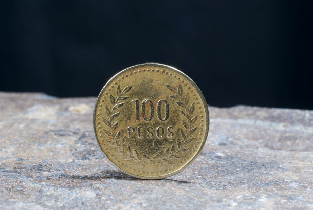 1993年哥伦比亚硬币100比索。详细的货币从南美，哥伦比亚，货币和形式o图片下载