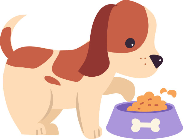 可爱的小棕色小狗在饲料碗吃图片下载