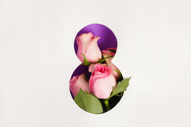 3月8日贺卡与紫罗兰纸数字和粉红色的玫瑰在它的白色背景，复制空间图片下载