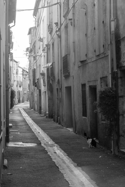 一个古老村庄的鹅卵石小巷图片下载