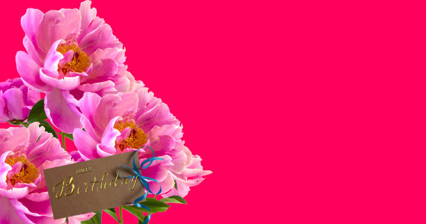 3d插图的生日卡片与鲜花，也可以用作横幅或传单图片下载
