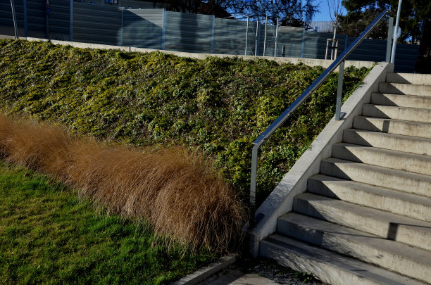蓝色地毯的低匍匐花。花园的花坛在斜坡上，观赏草被剪成低矮的簇，靠近混凝土楼梯，金属板隔音围栏图片下载