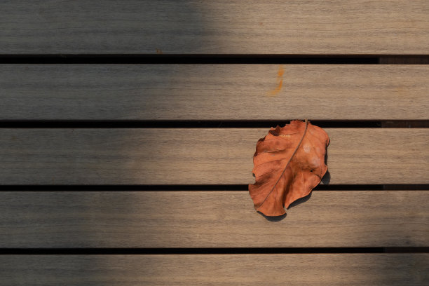 干叶框架在木制背景。木桌上的黄叶子框。图片下载